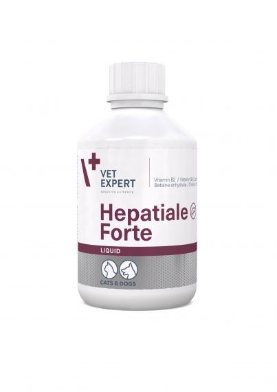 Hepatiale Forte Liquid 250 ml