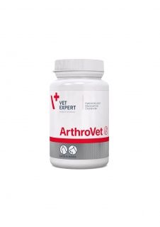 ArthroVet 60 tabl.