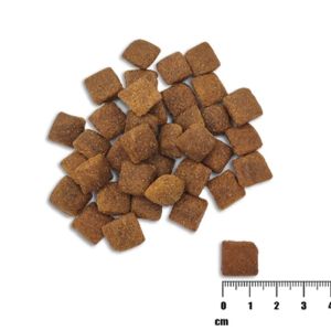 Raw Paleo Healthy Grain Adult Lamb – Пълноценна и балансирана суха храна за зрели кучета от всички породи с агнешко месо и ечемик