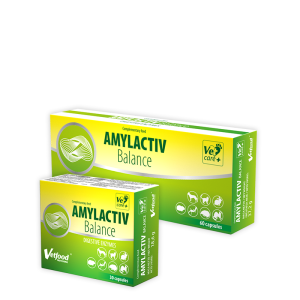 Vetfood Amylactiv Balance - за кучета, котки и порове с храносмилателни разстройства