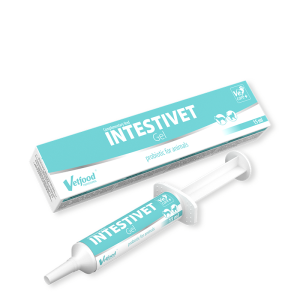 Vetfood Intestivet Gel 15 мл. - паста за кучета и котки със стомашно-чревни заболявания