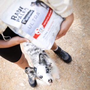Raw Paleo Ultra Beef Medium & Large Puppy