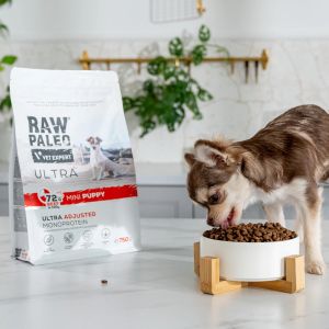 Raw Paleo Ultra Beef Mini Puppy