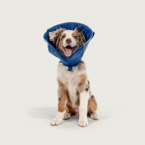 KVP Calmer Collar 