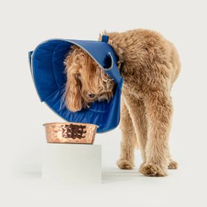 KVP Calmer Collar 