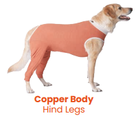 Luna & Milo Copper Body Hind Legs
