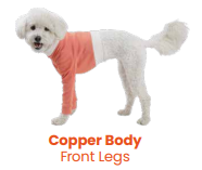 Luna & Milo Copper Body Front Legs